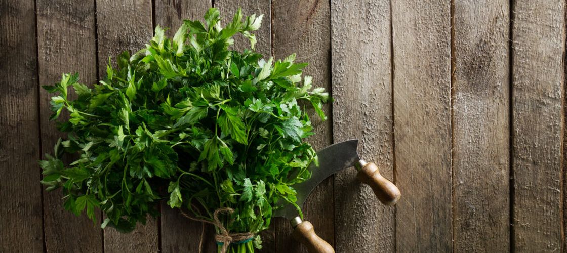 Ce este hasmațuchi și cum poate fi folosit în bucătărie / Vlad Logigan (actor): „Am venit în Obor pentru hațmațuchi. Nu are nimeni, toți se uită mirați când întreb. De parcă întreb de codul lui da Vinci”