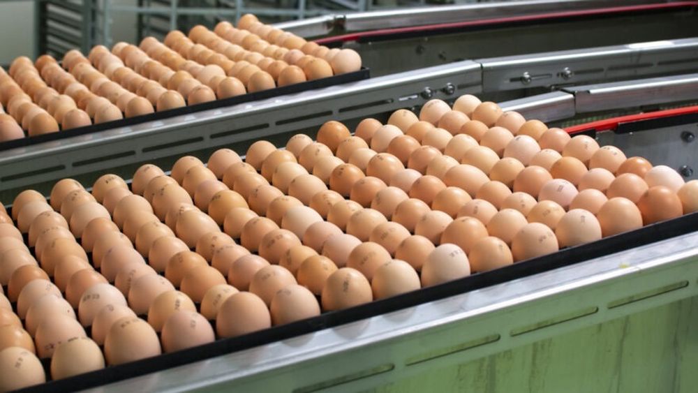 Germania, Italia, Polonia şi Suedia, printre ţările contactate de Departamentul american al Agriculturii pentru importul de ouă. Un obstacol este și faptul că legislația americană impune ca ouăle să fie spălate și refrigerate