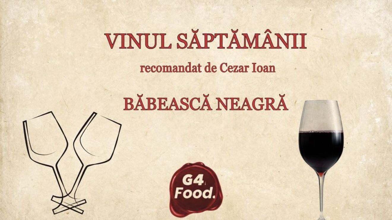 VIDEO | Vinul săptămânii | „România ar avea o șansă extraordinară dacă ar exploata acest soi” – Cezar Ioan, despre Băbeasca Neagră