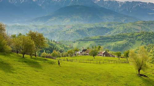 Federaţia Patronatelor din Industria Ospitalităţii solicită promovarea turistică a României prin misiunile diplomatice / Corina Martin: „Există o savoarea gastronomică diversă”