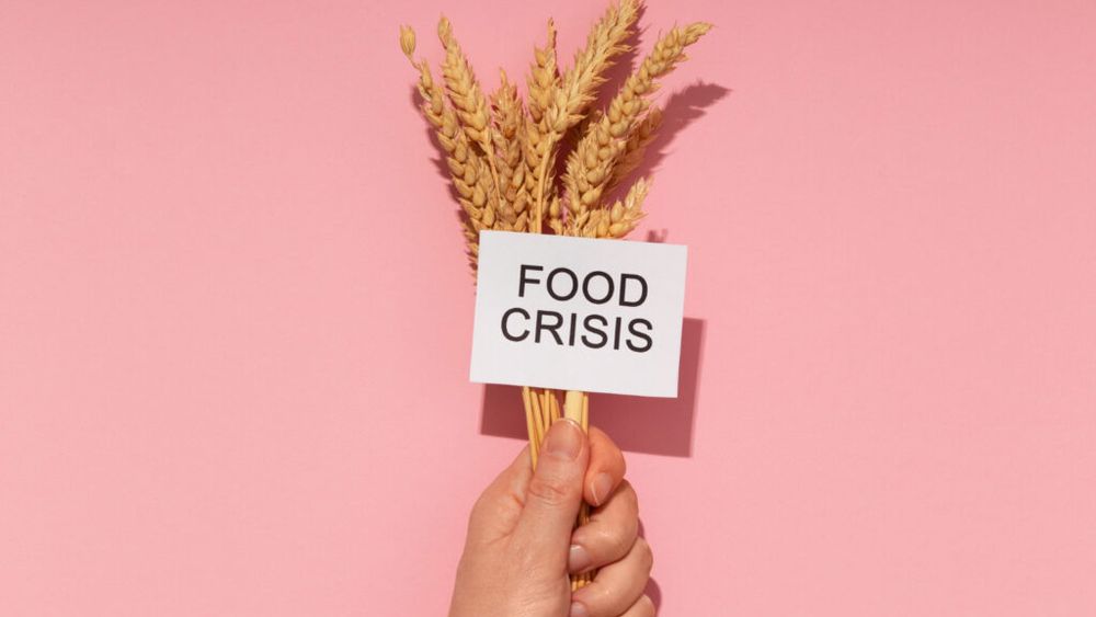 Discuții de urgență în G20 despre criza alimentară globală / Perturbările din agricultură ar putea să afecteze zeci de milioane de oameni