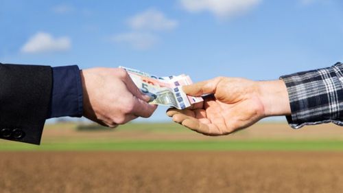 Blocul Naţional Sindical cere guvernului ca mecanismele de subvenţii pentru agricultură să fie reformate complet/ Reprezentanţii sindicatului s-au întâlnit joi cu reprezentanţii Comisiei Europene