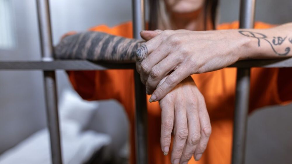 mapacuporiecte.ro: Penitenciarul Ploiești caută un furnizor de cozonac