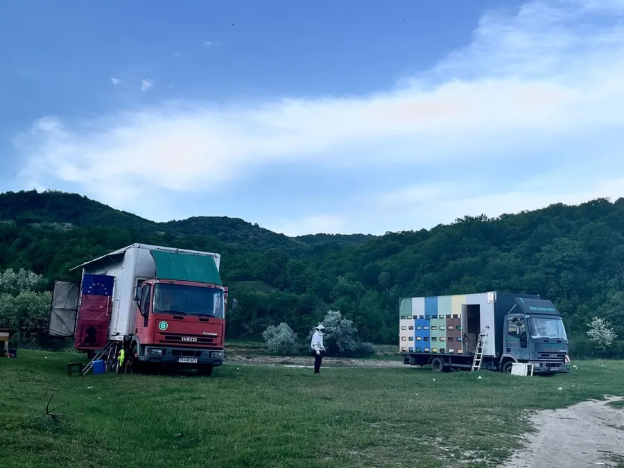 apicultori, familii de albine, albine, ulei