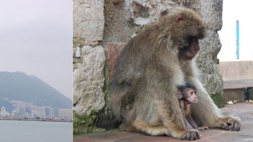 Gastronomia din Gibraltar. Un loc între două continente, care aparține formal Angliei și cultural Spaniei