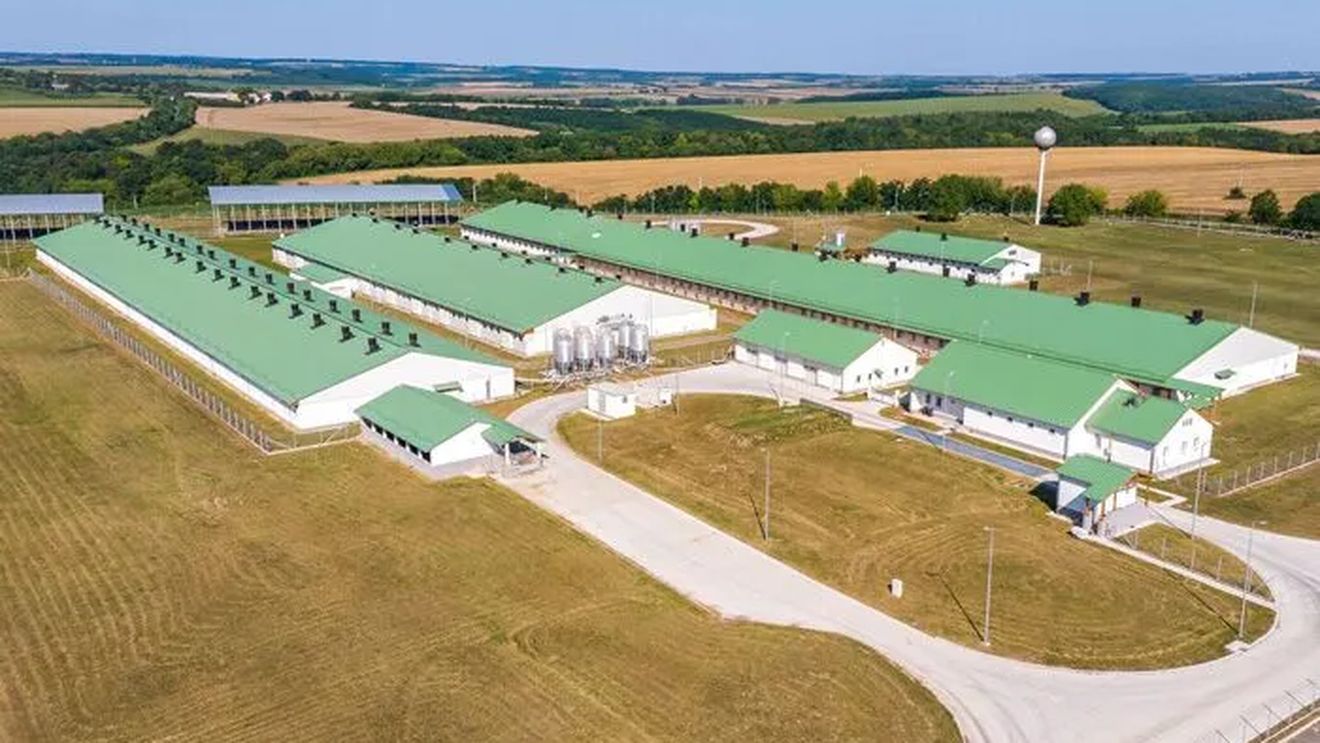 Bonafarm Group preia operațiunile FrieslandCampina din România / Tranzacția include brandul Napolact, fabricile de lactate din Cluj-Napoca și Târgu Mureș și aproximativ 400 de angajați