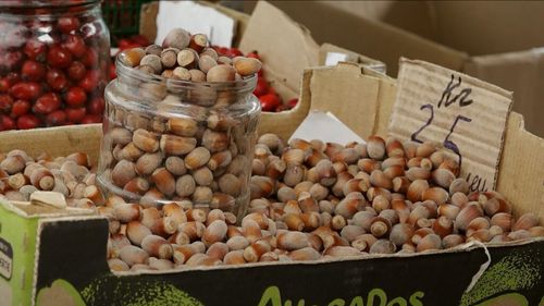 Livezile de aluni, un pariu tot mai sigur pentru agricultorii din Republica Moldova / În magazine, alunele sunt printre cele mai căutate produse