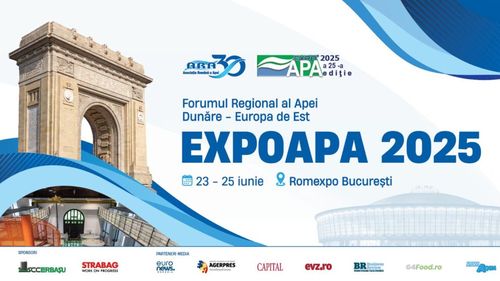 Forumul Regional al Apei „Dunăre-Europa de Est” | Mirela Călugăreanu (Curtea de Conturi): Sectorul apei are o serie de probleme structurale şi nu are un lider instituţional clar definit