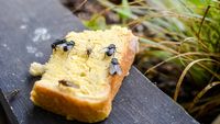 O muscă a aterizat pe mâncare. O mai poți mânca sau trebuie să o arunci? Ce spun experții în siguranță alimentară