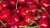 Veste bună pentru bucureșteni, primele cireșe românești sunt disponibile la vânzare/ Cât costă un kilogram la Stațiunea de Cercetare Băneasa