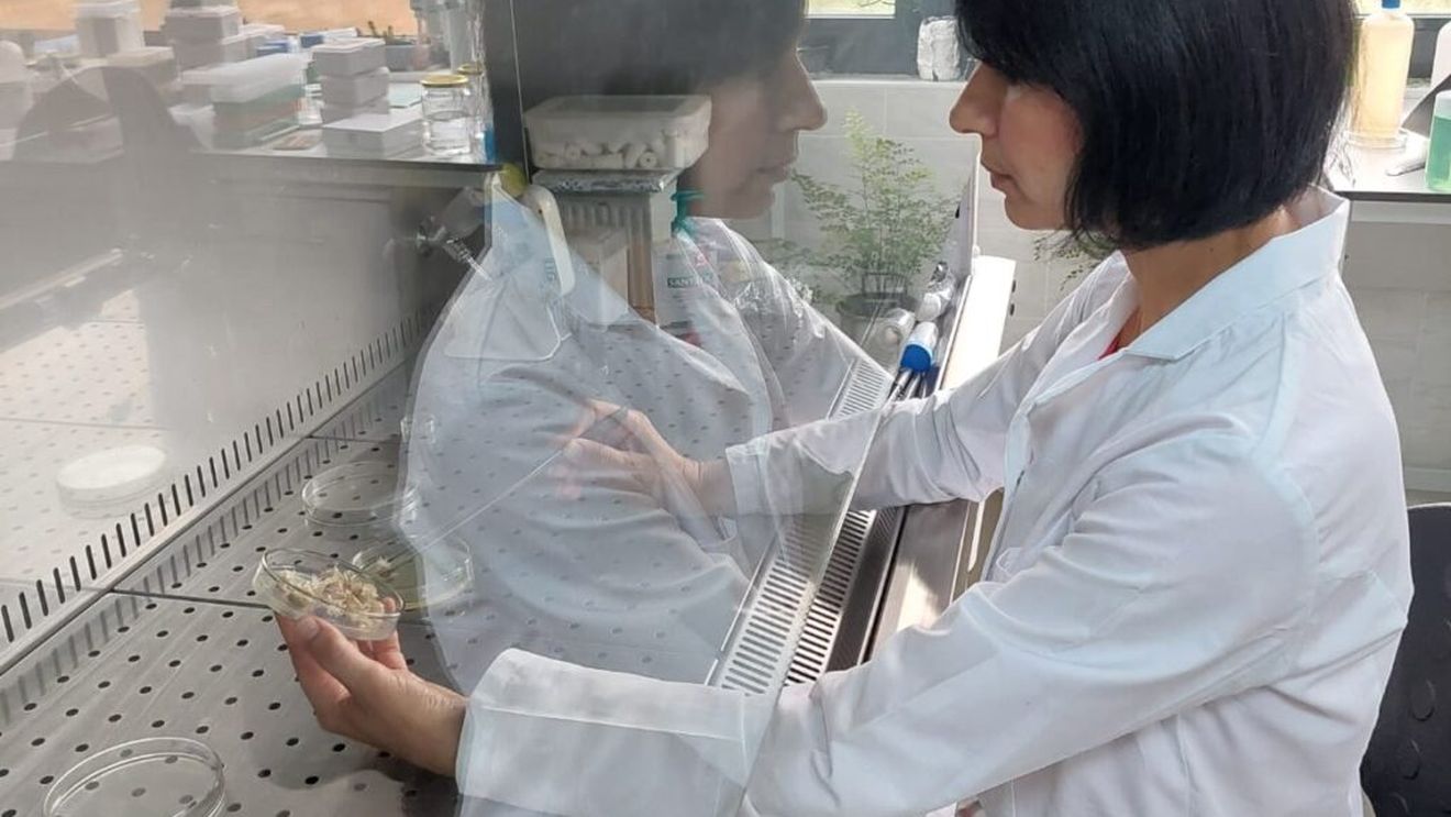 Cel mai mare studiu din lume asupra proteinelor va fi lansat luna aceasta / Ar putea debloca noi descoperiri în medicină / ”Ne va permite să identificăm cine este susceptibil de a dezvolta o boală cu mult înainte de a o face”