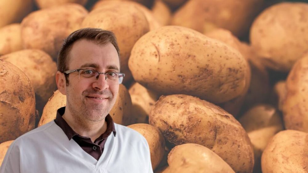 Cât de complex este, de fapt, cartoful? Un medic răstoarnă stereotipul cartofi egal carbohidrați: „Dieta rurală irlandeză, formată din cartofi, lapte și puține legume, era mai complexă decât pare. Cartoful, deși adesea subestimat, este un aliment dens nutritiv”