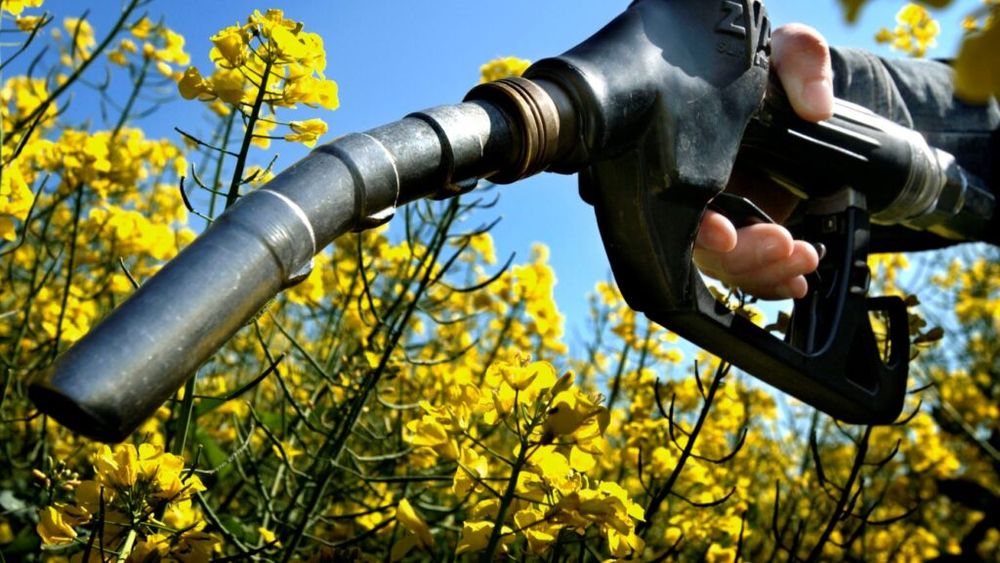 Vânzări de peste un miliard de euro de combustibili biodiesel, din România în Ucraina