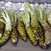 20 de alimente rare care refuză să crească în altă parte / De la wasabi la trufa albă, de ce contează locul de origine