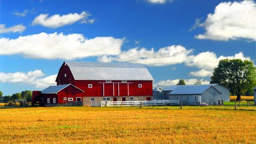 Fermierii pot cere demolarea locuințelor construite în perimetrele exploatațiilor agricole / Proiectul adoptat de Senat ajunge la Camera Deputaților