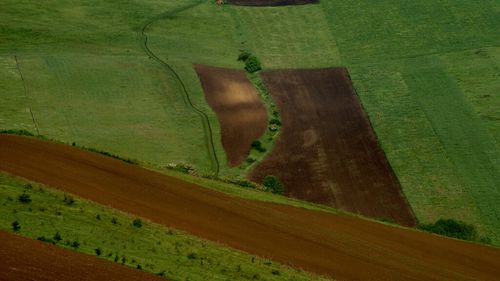 Clujul, ocolit de secetă? Direcția Agricolă: „Zero hectare și zero fermieri cu pagube raportate”