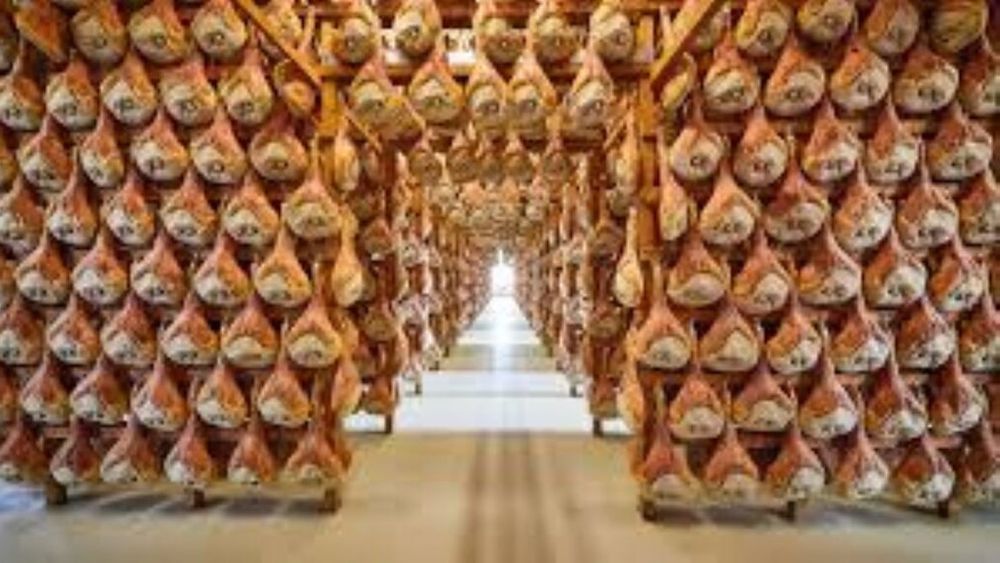 Economie circulară. Consorțiul Prosciutto San Daniele DOP inaugurează un sistem de reciclare completă a sării epuizate. Aceasta este transformată în produse antiderapante sau pentru tăbăcirea pieilor