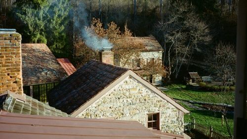 Un fost angajat al Google a înființat o fermă sustenabilă de castani unde oferă servicii de vindecare: „Încercăm să facem legătura între sănătatea solului și sănătatea mintală” / Cei cu posibilități financiare reduse pot participa oferind ajutor în grădină