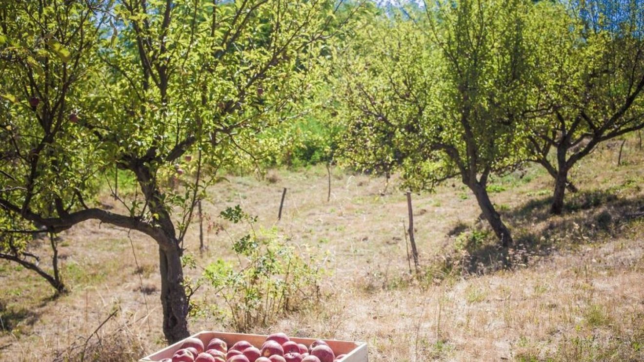 GastroWeekend I Al doilea sfârșit de săptămână din octombrie vine după o perioadă grea, cu ploi torențiale, dar e plină de evenimente gastronomice