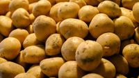 Cum au lăsat cartofii o amprentă în ADN-ul unei populații / Ce au descoperit cercetătorii după 10.000 de ani