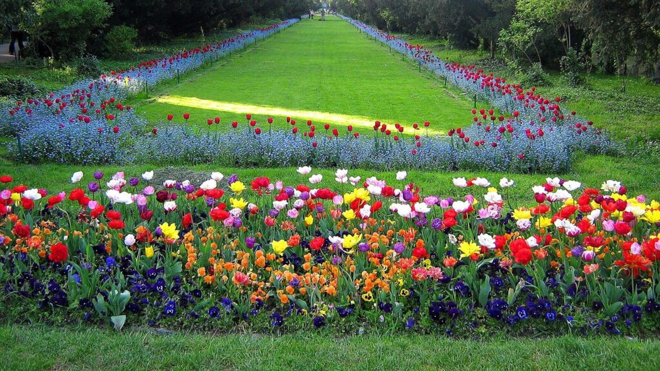 Salon de evenimente și terasă din Parcul Cișmigiu, demolate la ordinul Primarului General