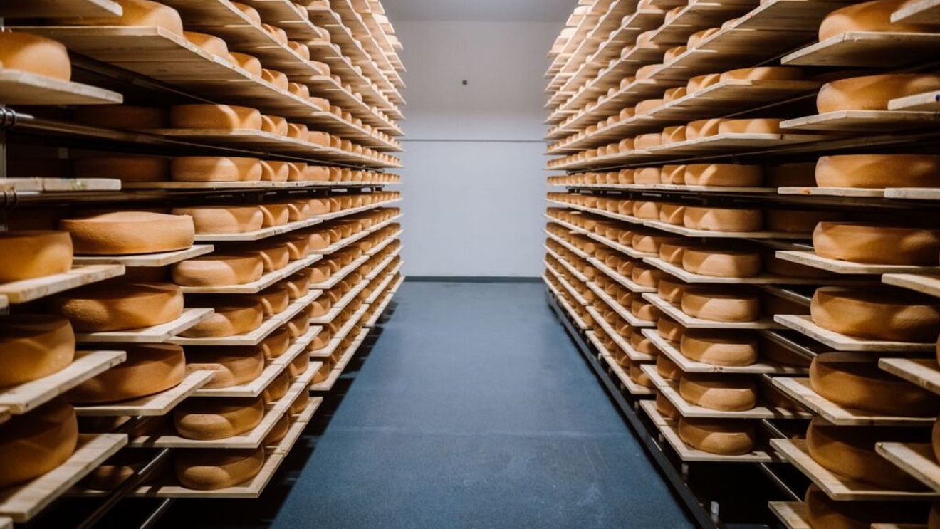 Premieră în România: brânzeturi maturate cu ajutorul unui robot; familia Rétyi prelucrează laptele din ferma proprie și vinde produsele în hypermarketuri