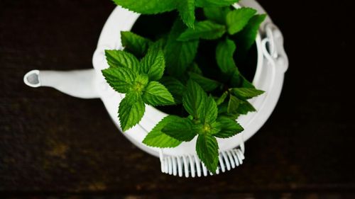 Funcționează într-adevar ceaiurile în lupta cu constipația? Cele mai eficiente nouă plante pe care le poți utiliza