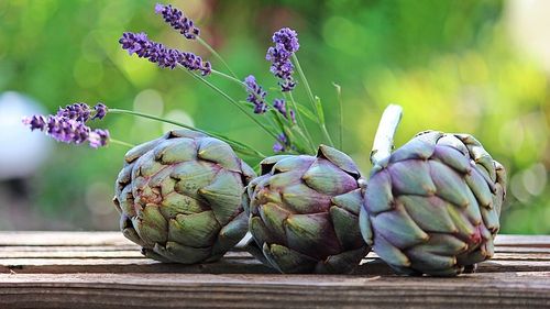 Leguma mov care crește pe insulele nordice ale Veneției. Este atât de rară încât localnicii sunt nevoiți să se lupte cu contrafacerile: „În cele din urmă, ar putea dispărea”