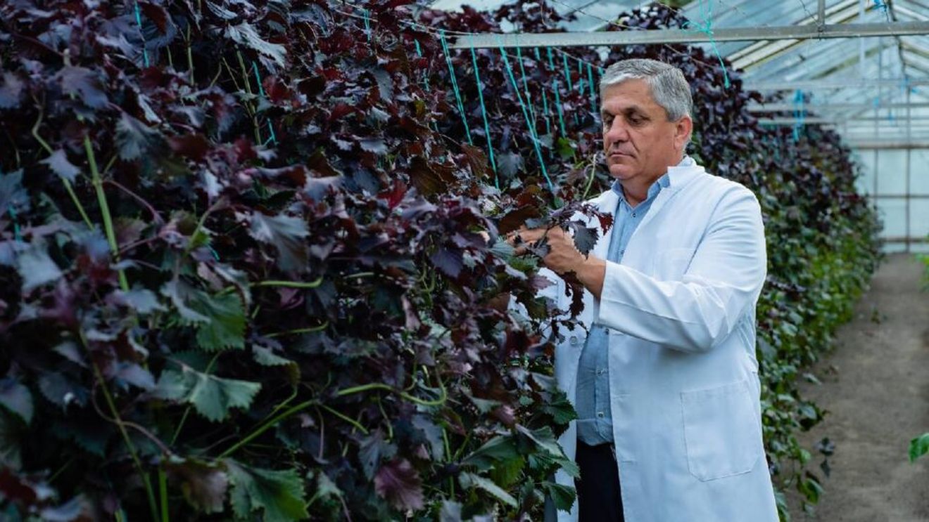 Banca de Resurse Genetice Vegetale (BRGV) Buzău: Acordul Mercosur poate afecta patrimoniul genetic vegetal. ”România nu este pregătită”