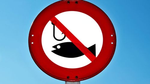 Prohibiția pescuitului începe pe 9 aprilie în România / Autoritățile impun restricții pentru refacerea resurselor acvatice