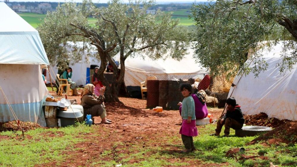 Trei cartofi, 36 de euro. Cât a crescut prețul alimentelor în Fâșia Gaza pe fondul războiului și a lipsei de hrană