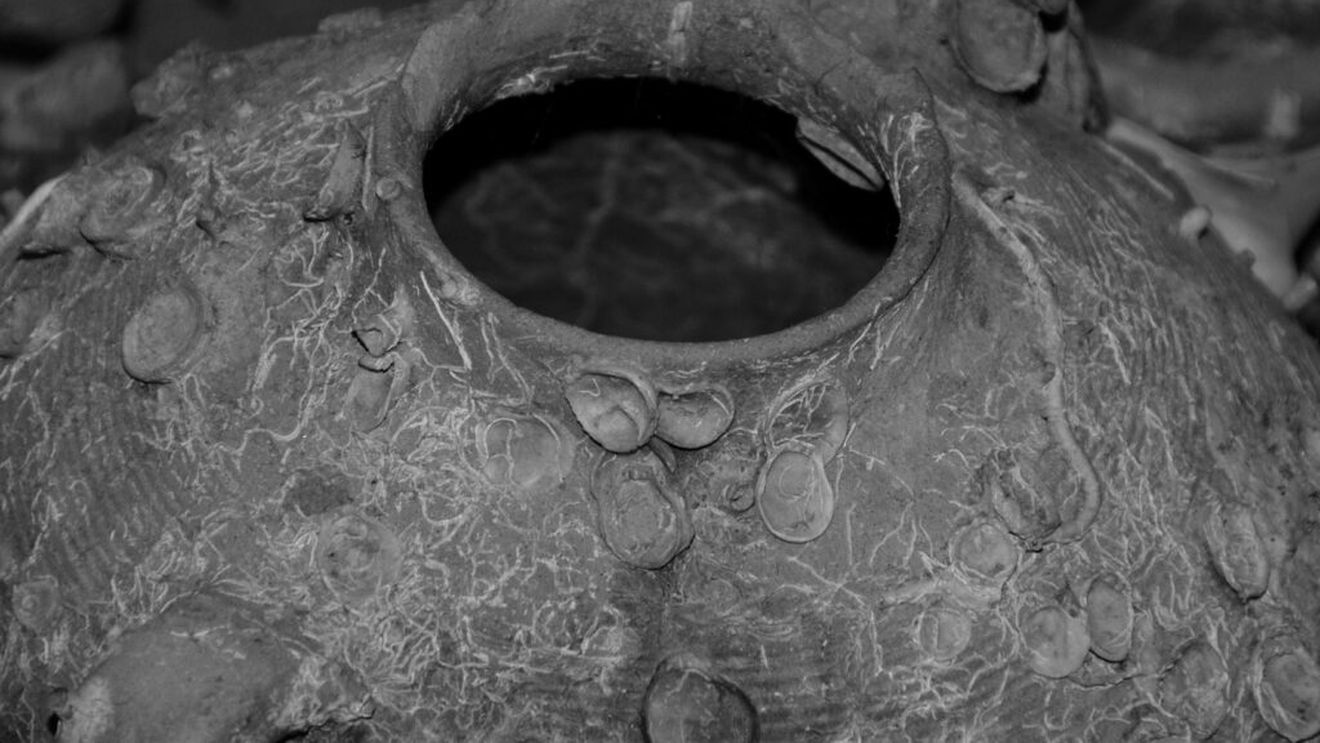 O epavă romană veche de 1.700 de ani, descoperită în apropierea ţărmului insulei Mallorca / Corabia transporta sos de peşte fermentat / Preparatul, folosit pentru condimentarea mâncării