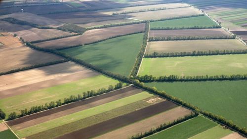 INS | Prețul terenului agricol în România, peste 8.700 de euro, în medie, în 2024/ Cel mai ieftin este în Nord-Estul României și cel mai scump în București-Ilfov