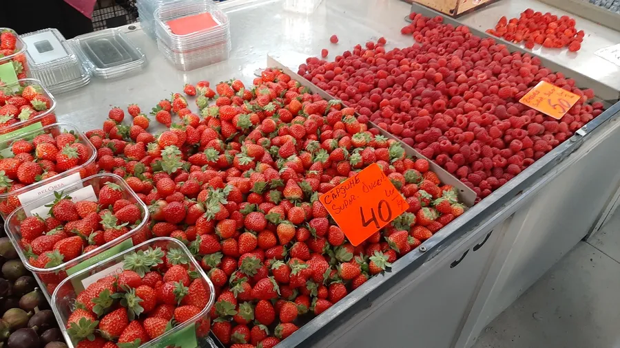 Minunății de fructe roșii, trufandale de toamnă târzie