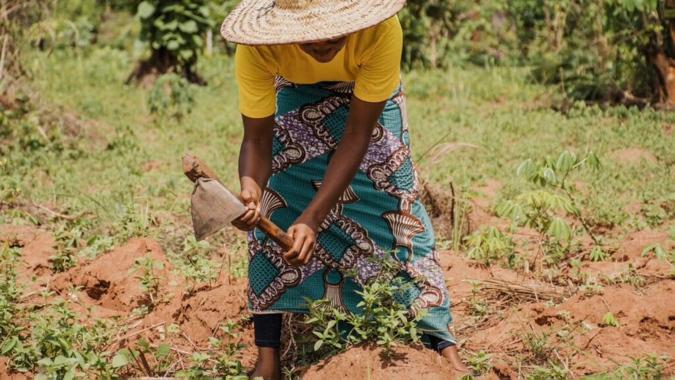 Uniunea Africană a decis înființarea unei agenții pentru siguranța alimentară la nivelul întregului continent. Obiectivul este și creșterea competitivității pe piețe a produselor alimentare africane