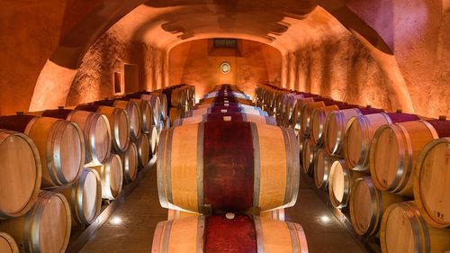 Etichetele vinurilor încep să devină o poartă digitală interactivă către identitatea completă a produsului și a producătorului. Proiect deja în derulare al unei companii italiene cu o istorie de 700 de ani în spate