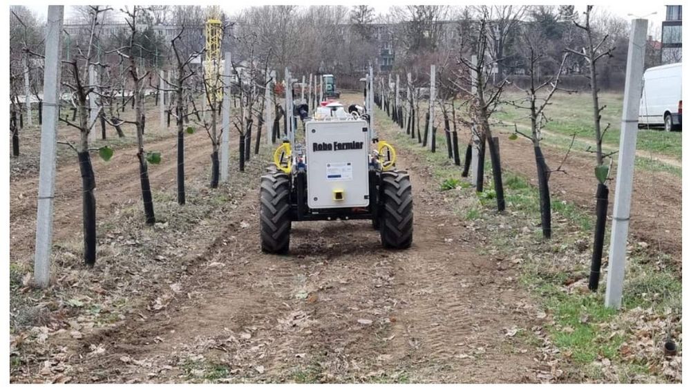 "Robo-fermierul", proiect inovativ în pomicultură, finanţat cu 360.000 de euro din fonduri europene