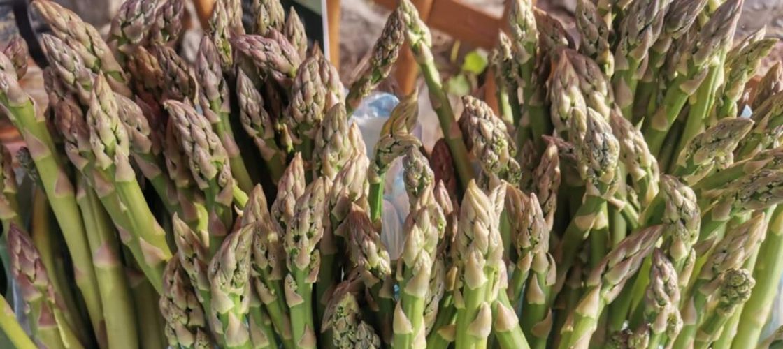 Sparanghelul, mai mult decât o legumă de primăvară. De ce este esențial pentru proteine și sănătate