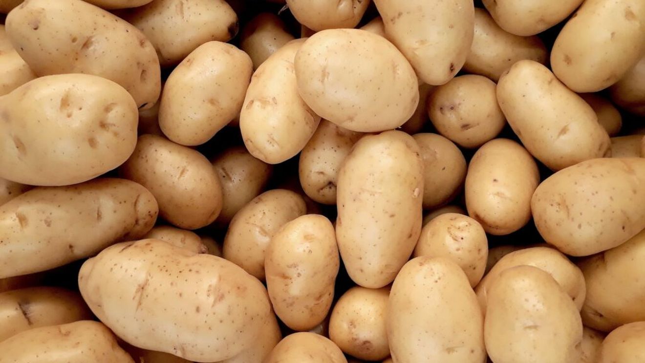 Cartoful românesc e „la pământ”: România a înregistrat cea mai mică producție de cartofi din ultimii opt ani, conform INS / În contrast cu declinul producției, consumul intern de cartofi continuă să crească