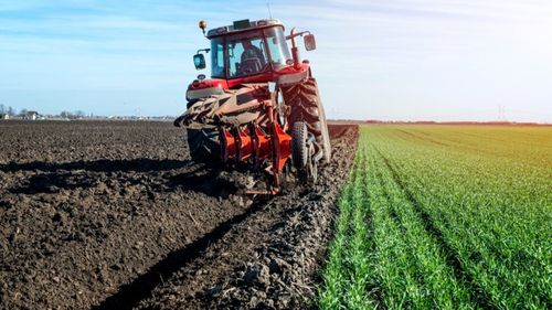 AFIR: 226 milioane euro au fost transferate în conturile a 489.821 de fermieri, procesatori, antreprenori şi autorităţi locale