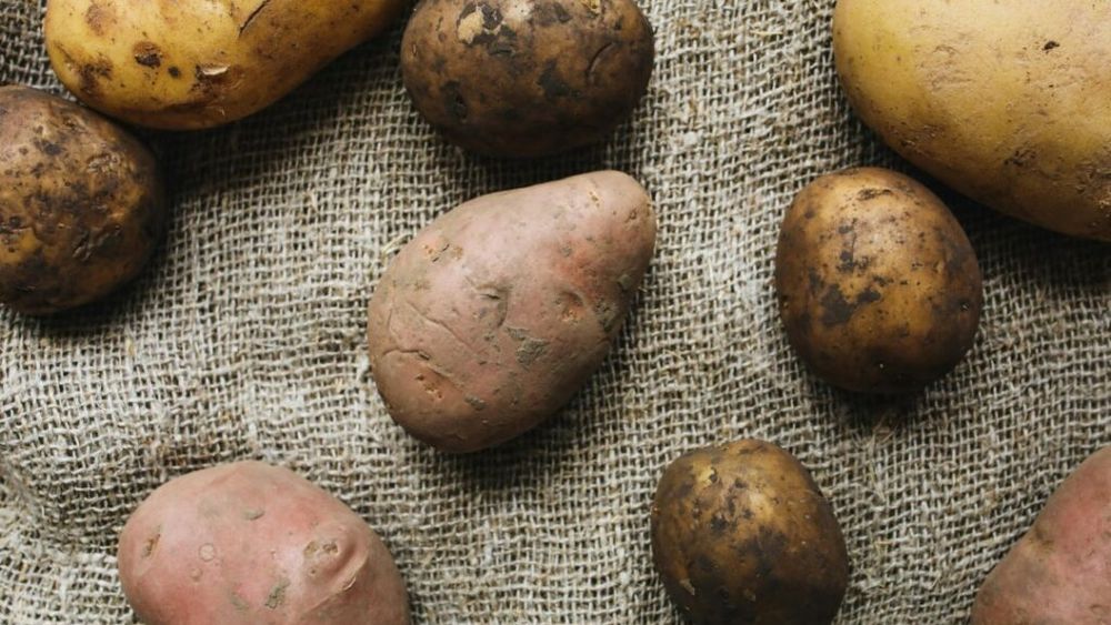 ABC în bucătărie | Cartof alb - cartof roșu/ Pe care să-l folosești în funcție de preparatul pe care îl pregătești și de ce