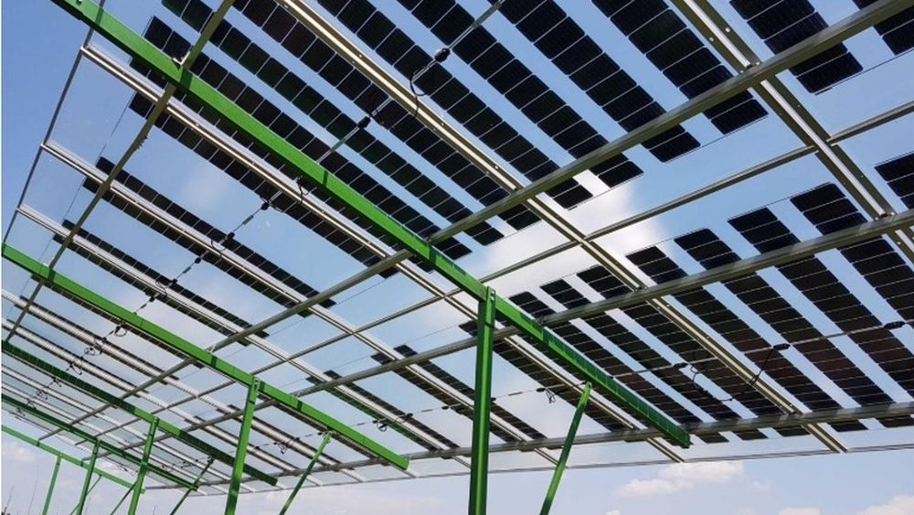 Tehnologia hortivoltaică, soluția pentru livezile din sudul României: Panouri fotovoltaice semitransparente testate în cultura cireșului amar