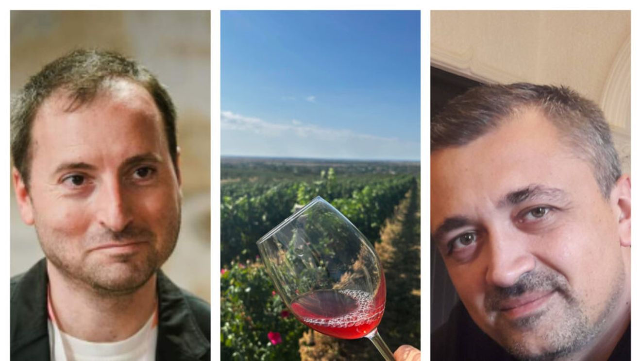 Analiză | Eliminarea facilităților din agricultură agravează criza deja existentă în viticultură. Bogdan Pleșoianu: „Ne afectează pentru că ne cresc costurile pe partea de salarii” / Bogdan Anghel: „Asta ar mai lipsi: să ne taxeze cu încă o taxă de stâlp!”