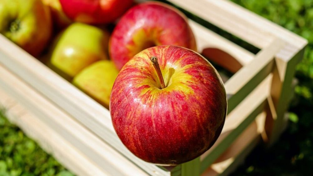 Economia circulară sau cum ia naștere un brand cosmetic 100% natural. Resturile de mere sunt materia primă