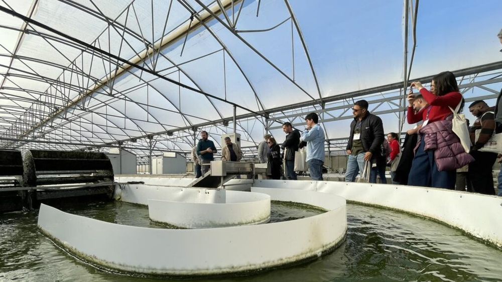 Microalgele, marele accelerator durabil al eficienței agricole/ Companiile și cercetătorii încep să pună în funcțiune capacitatea acestor organisme de a îmbunătăți fertilitatea și sănătatea solurilor și de a combate dăunătorii