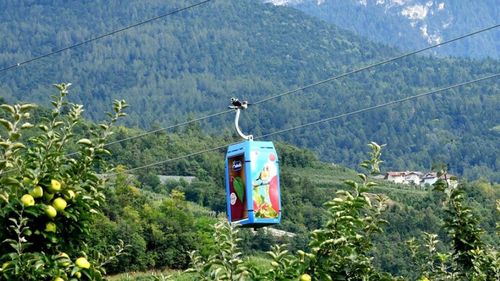 Primele mere din lume transportate și depozitate în grote naturale cu ajutorul telecabinei. Instalația din regiunea Trentino din nordul Italiei a fost inaugurată oficial: transportă merele cultivate pe versanți producând în același timp energie