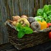 De ce regimul de viață pe bază de plante este adoptat de budiști/ Călugăr budist: „Trei motive pentru o dietă vegetariană”