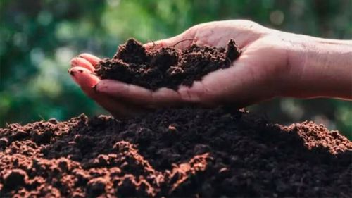 În plină criză a fertilizanților, un produs natural, din resturi vegetale și microalge, îmbunătățește solul și crește rentabilitatea agricolă