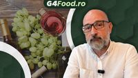 VIDEO | Connaisseur fără ifose (Ep. 92) | Somelier în restaurant: la ce să te aștepți?