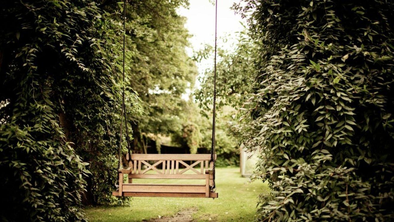 Pentru a păstra biodiversitatea şi în faţa schimbărilor climatice, fiecare ar trebui să-şi cultive grădina. O asociație de grădinari de lângă Paris susține că plantând legume, flori și plante sălbatice vom ajuta planeta, insectele și pe noi înșine